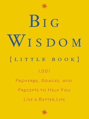cover image of Big Wisdom (Little Book)
